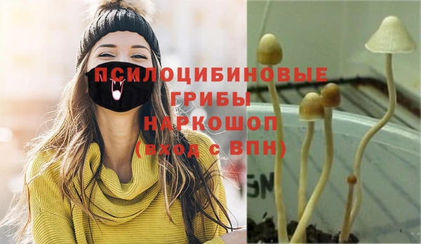 MDMA Premium VHQ Аркадак