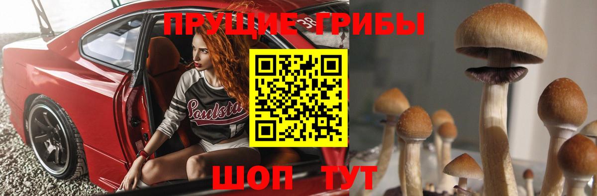 Усинск  Псилоцибиновые грибы GOLDEN TEACHER  Вход с VPN 