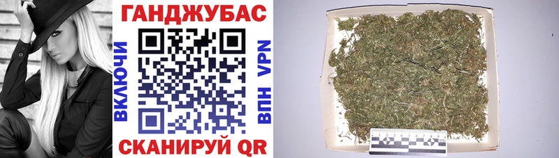 Конопля гибрид  Усинск 